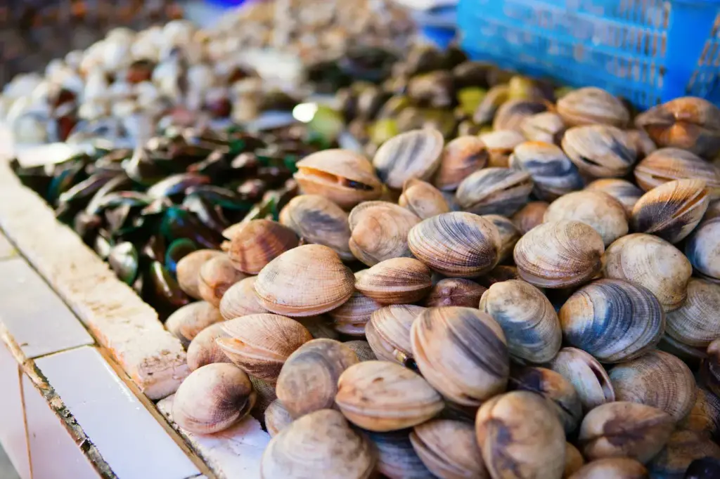 What Eats Clams