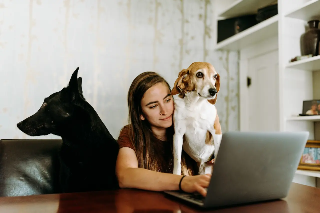 Are Dogs Better Pets Than Cats For You